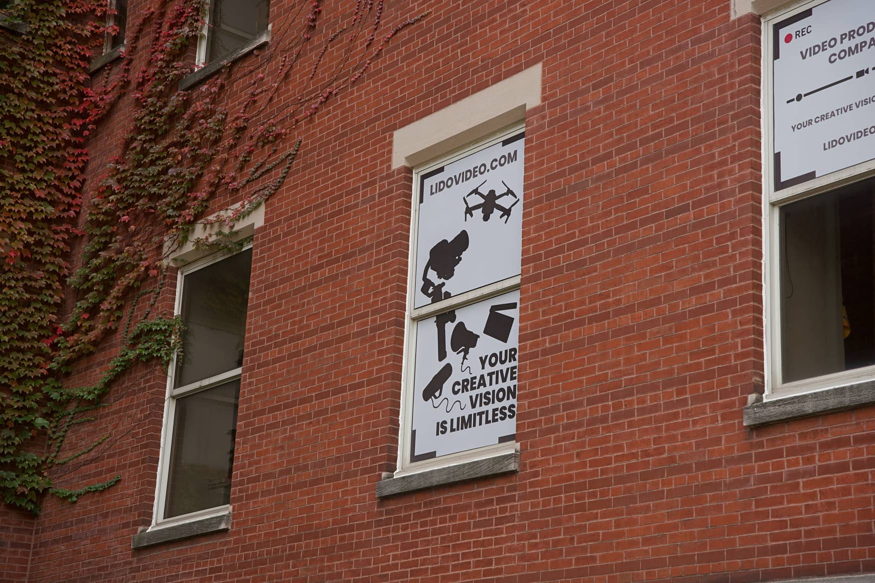 portfolio background