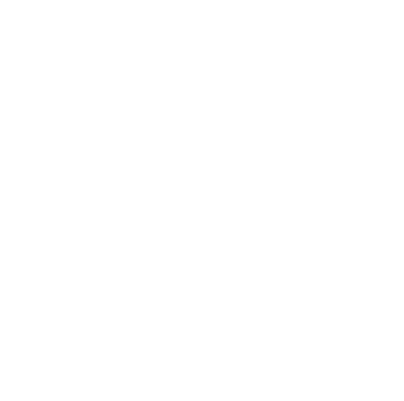 Lido Video Logo
