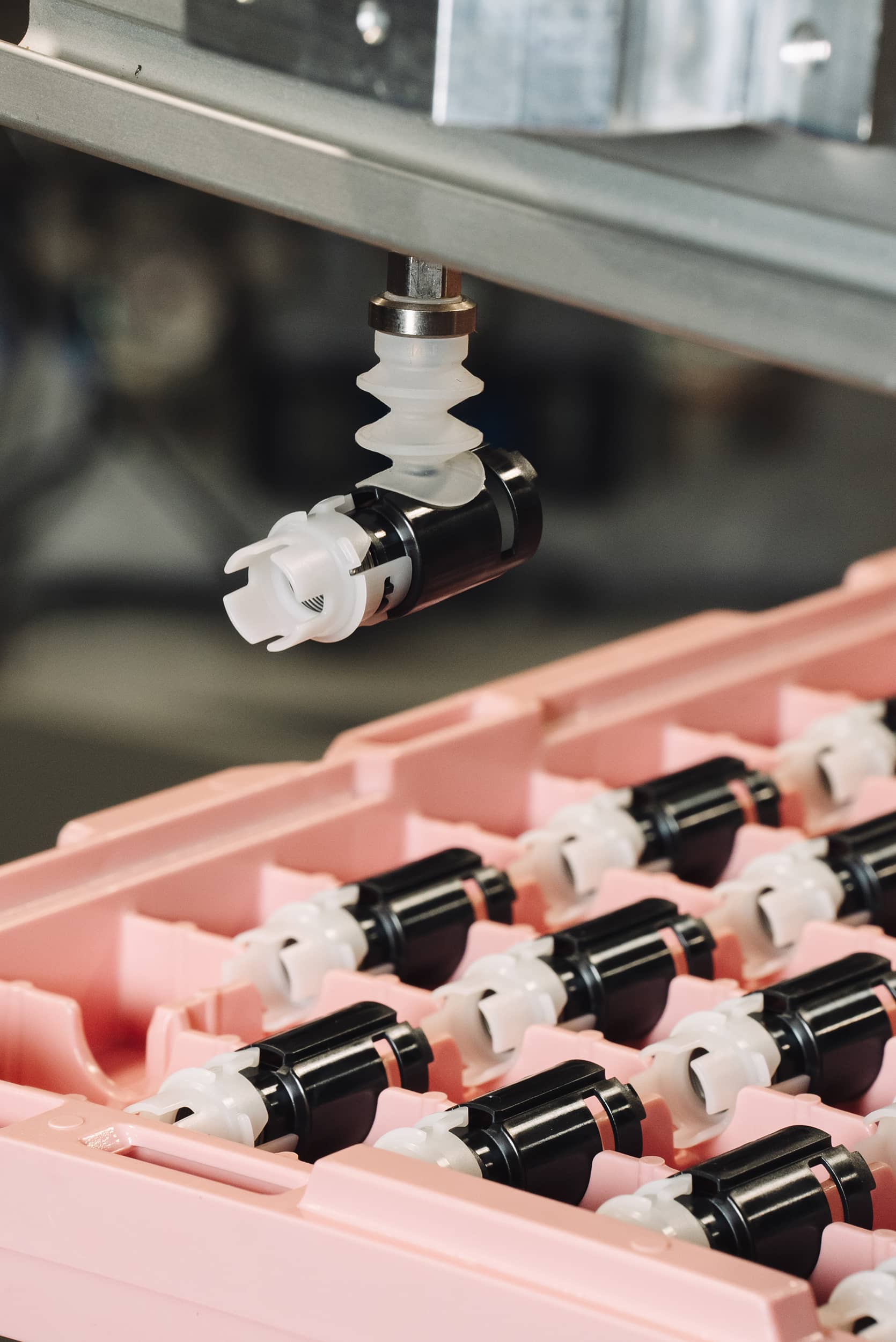 professional photography